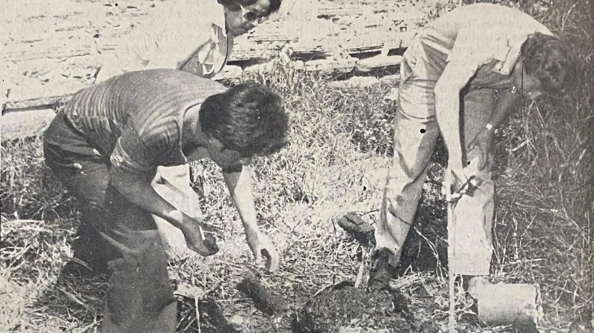 La Pequinesa criminal del Siglo XX, Archivo Rojo